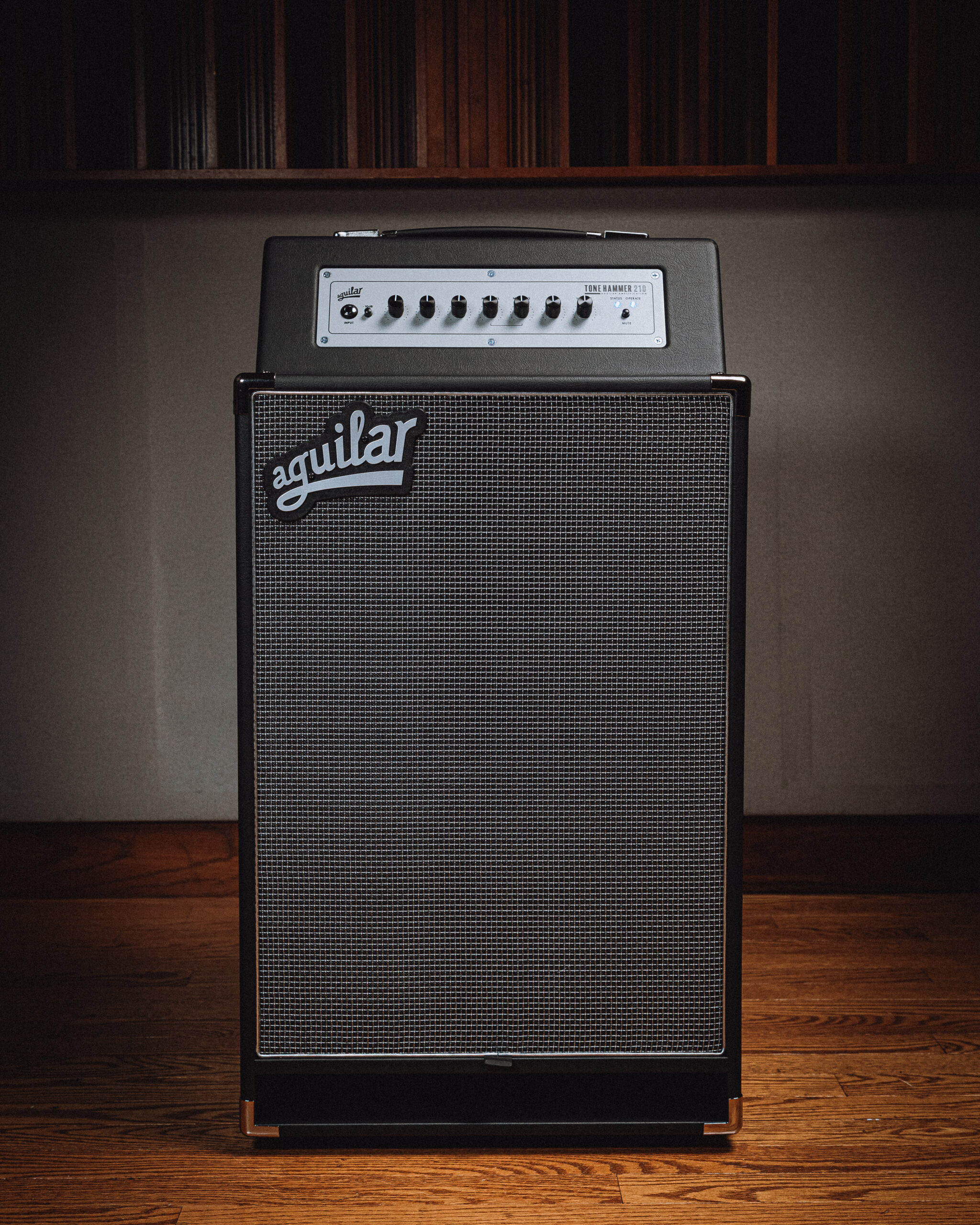 Aguilar Tone Hammer 210 300-watt, 2 x 10-inch Combo Amplifier